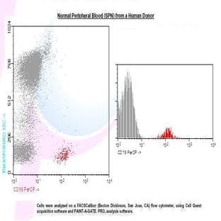 anti-CD19 Molecule (CD19) antibody (PerCP) avatar