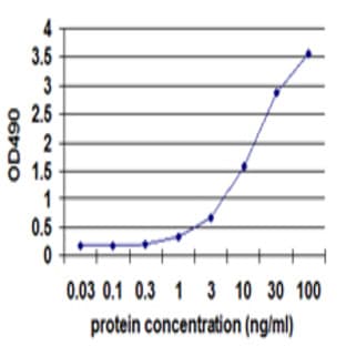 anti-CD19 Molecule (CD19) antibody avatar