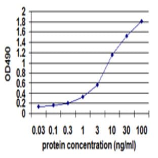 anti-CD19 Molecule (CD19) antibody avatar
