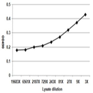 anti-CD19 Molecule (CD19) antibody avatar