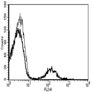 anti-CD19 Molecule (CD19) antibody (Biotin) avatar