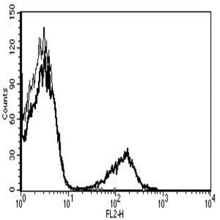 anti-CD19 Molecule (CD19) antibody (PE) avatar
