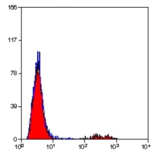 anti-CD19 Molecule (CD19) antibody (APC)