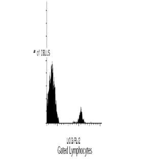 anti-CD19 Molecule (CD19) antibody (PE) avatar