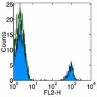 anti-CD19 Molecule (CD19) antibody avatar