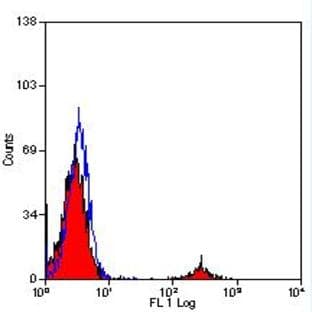 anti-CD19 Molecule (CD19) antibody (FITC)