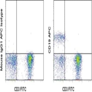 anti-CD19 Molecule (CD19) antibody (APC) avatar