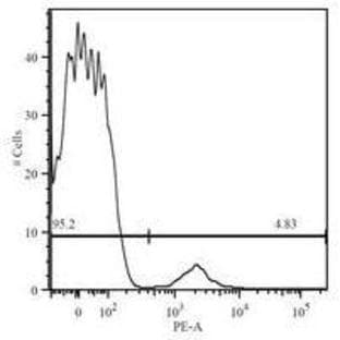 anti-CD19 Molecule (CD19) antibody (PE) avatar