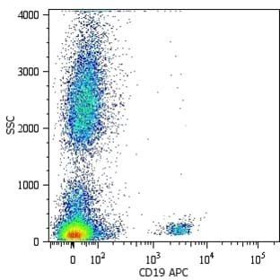 anti-CD19 Molecule (CD19) antibody (APC) avatar