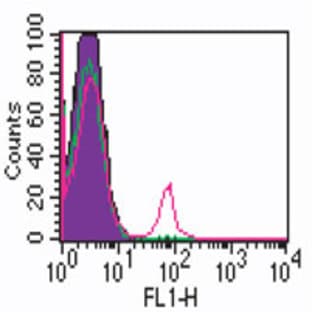 anti-CD19 Molecule (CD19) antibody (FITC)