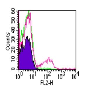 anti-CD19 Molecule (CD19) antibody avatar
