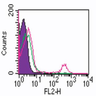 anti-CD19 Molecule (CD19) antibody (PE) avatar