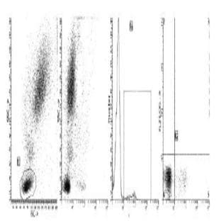 anti-CD22 Molecule (CD22) antibody (FITC) avatar