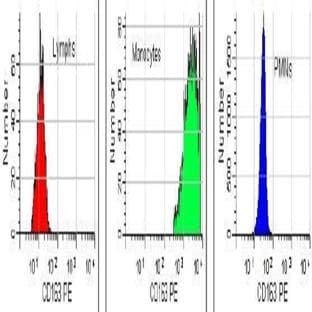 anti-CD163 Molecule (CD163) antibody (PE) avatar