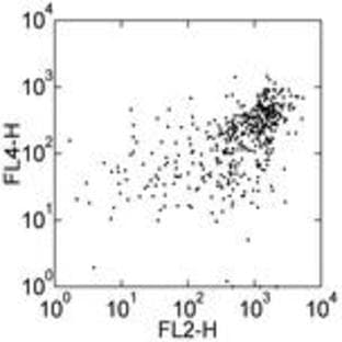anti-CD163 Molecule (CD163) antibody (Biotin) avatar
