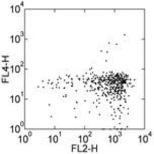 anti-CD163 Molecule (CD163) antibody (Biotin) avatar
