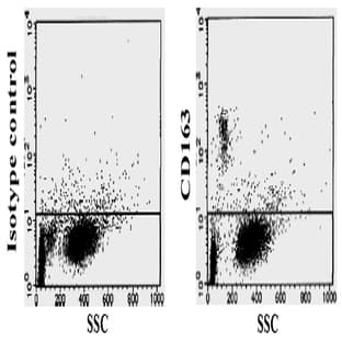 anti-CD163 Molecule (CD163) antibody avatar