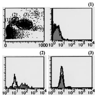 anti-CD163 Molecule (CD163) antibody (FITC) avatar