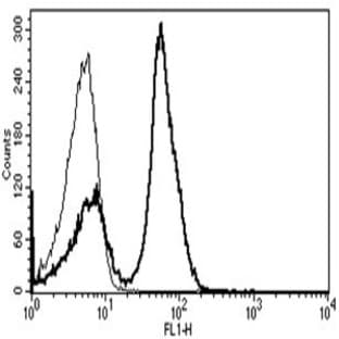 anti-CD28 (CD28) antibody avatar