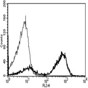anti-CD28 (CD28) antibody (PE) avatar