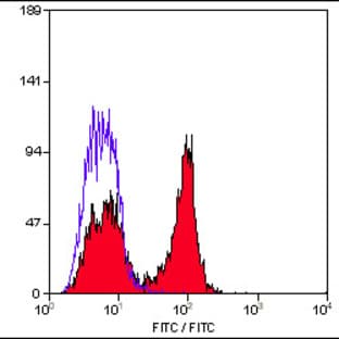anti-CD28 (CD28) antibody avatar