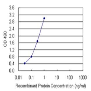 anti-CD28 (CD28) antibody avatar