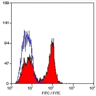 anti-CD28 (CD28) antibody avatar