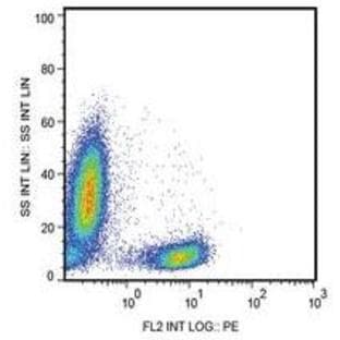 anti-CD28 (CD28) antibody (APC) avatar