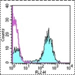 anti-CD28 (CD28) antibody (PE) avatar