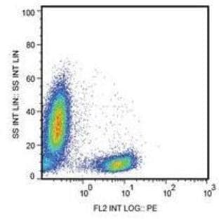 anti-CD28 (CD28) antibody avatar