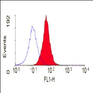 anti-CD80 (CD80) antibody (FITC) avatar
