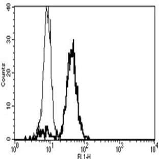 anti-CD86 Molecule (CD86) antibody avatar
