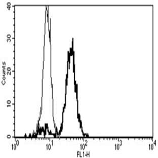 anti-CD86 Molecule (CD86) antibody avatar