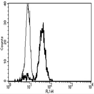 anti-CD86 Molecule (CD86) antibody (FITC) avatar