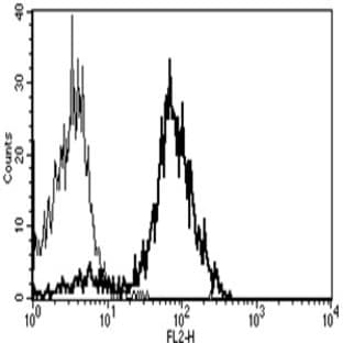 anti-CD86 Molecule (CD86) antibody (PE) avatar