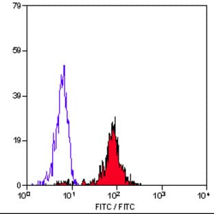 anti-CD86 Molecule (CD86) antibody (FITC) avatar