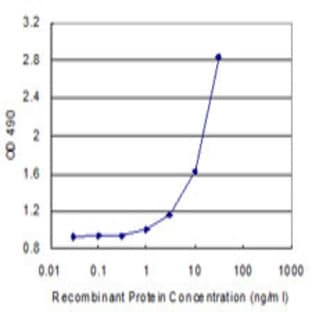 anti-CD86 Molecule (CD86) antibody avatar
