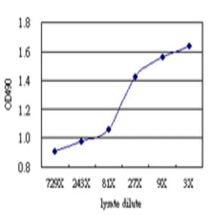 anti-CD86 Molecule (CD86) antibody avatar