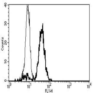 anti-CD86 Molecule (CD86) antibody avatar