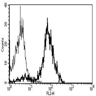 anti-CD86 Molecule (CD86) antibody (PE) avatar
