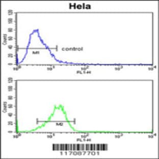 anti-Cytochrome P450, Family 7, Subfamily B, Polypeptide 1 (CYP7B1) (AA 252-281), (Center) antibody avatar