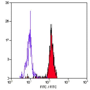 anti-CD33 Molecule (CD33) antibody