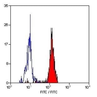 anti-CD33 Molecule (CD33) antibody