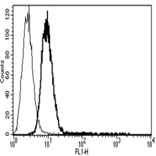 anti-CD34 Molecule (CD34) antibody avatar