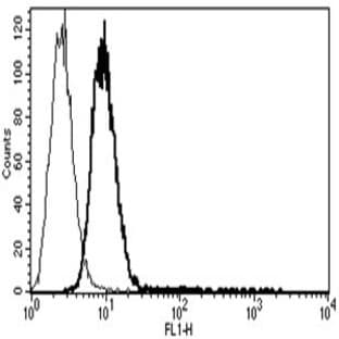 anti-CD34 Molecule (CD34) antibody (FITC) avatar
