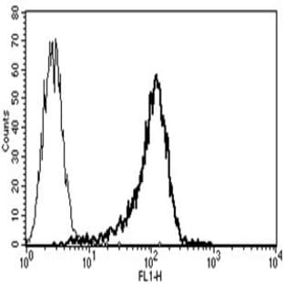 anti-CD34 Molecule (CD34) antibody avatar