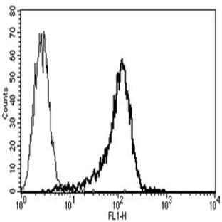 anti-CD34 Molecule (CD34) antibody avatar