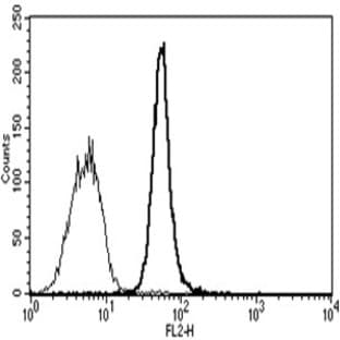 anti-CD34 Molecule (CD34) antibody (PE) avatar