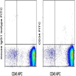 anti-CD34 Molecule (CD34) antibody (FITC)