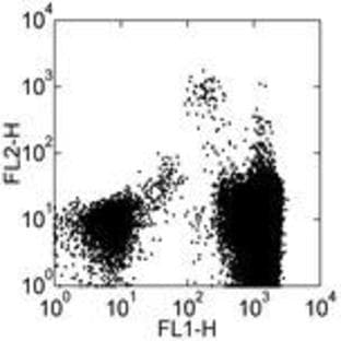 anti-CD34 Molecule (CD34) antibody (PE) avatar